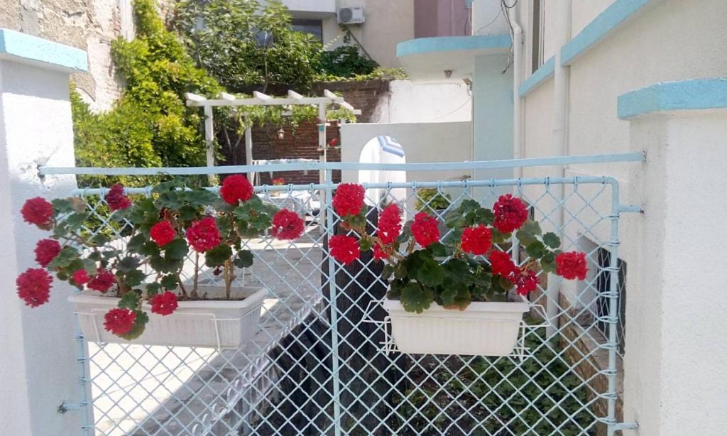 Romance — photo 1
