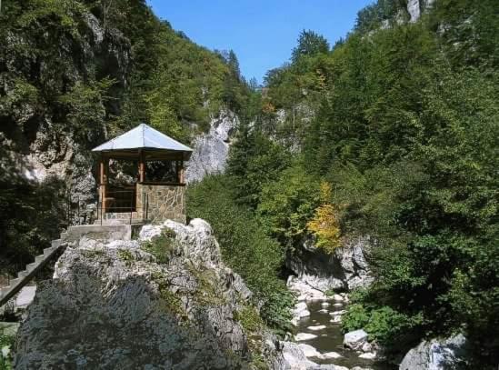 Yagodina Family Hotel photo 3