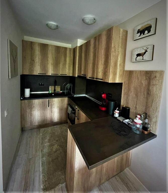 NEAT STUDIOS in "BOROVETS GARDENS" hotel photo 3