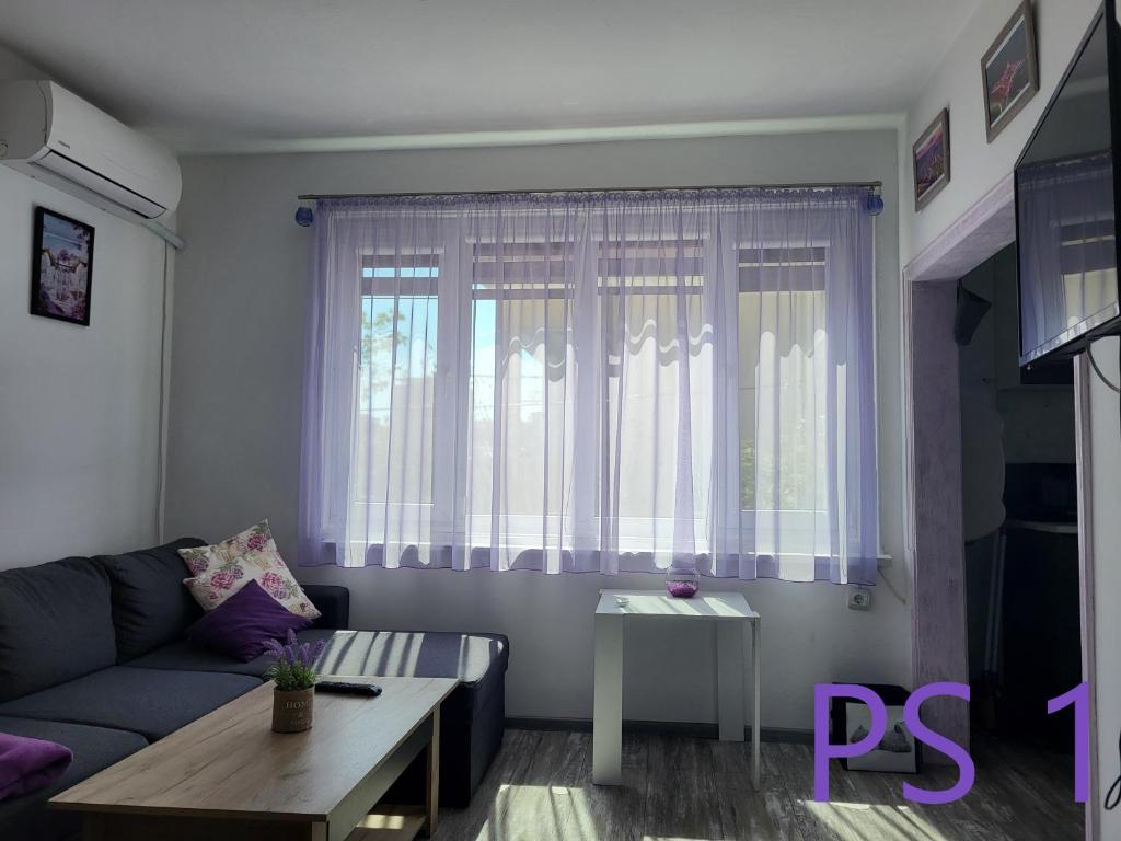 Purple StudioS photo 2