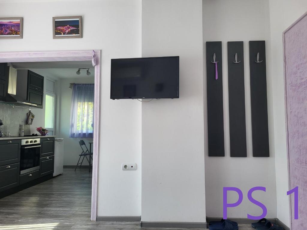 Purple StudioS photo 3