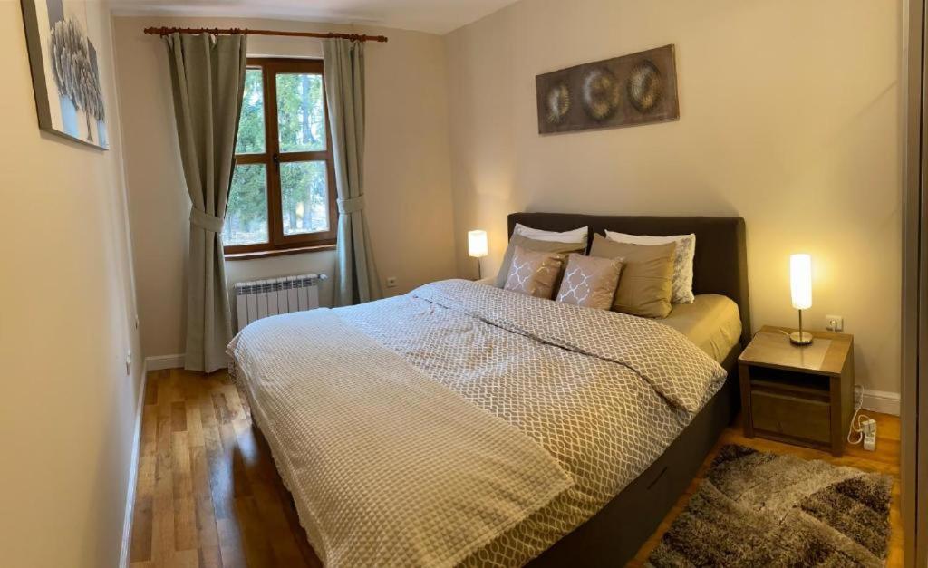 Ski to door at Mountain View 1BR condo Bansko photo 2