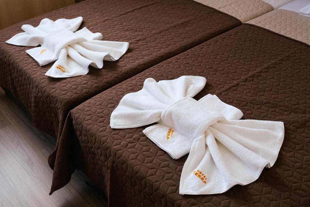 Hotel Terra photo 3