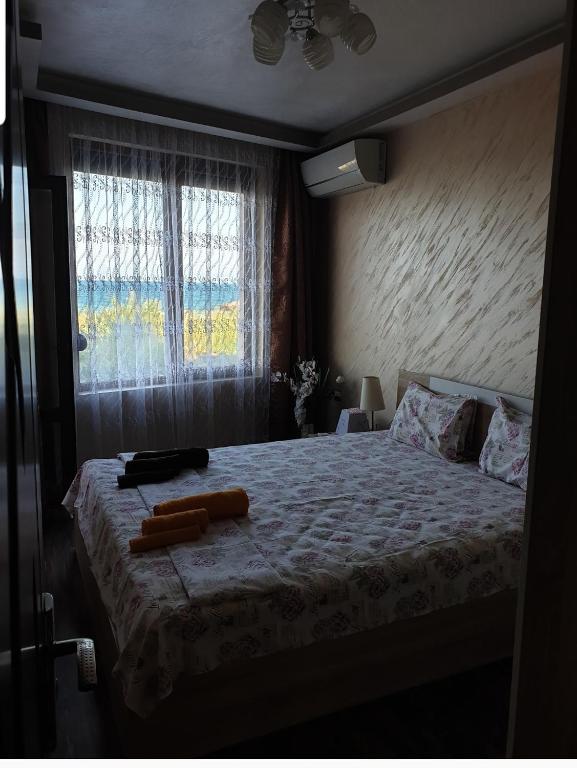 Sunshine Apartment photo 2