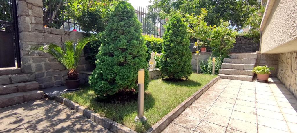 Yanevi Apartments photo 3