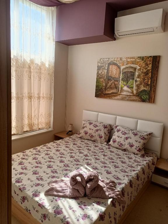Студио Ариел — photo 1