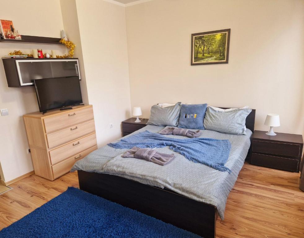 VALENTINA`S STUDIO in "BOROVETS GARDENS" hotel photo 2