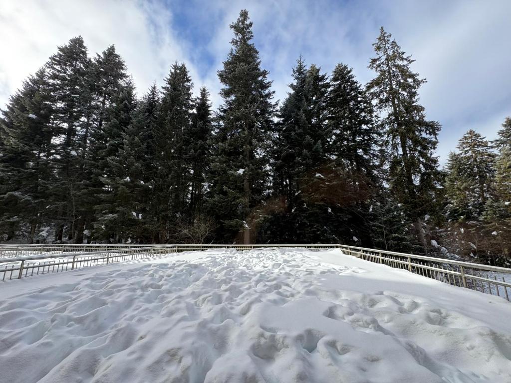 SnowLine Flora photo 3