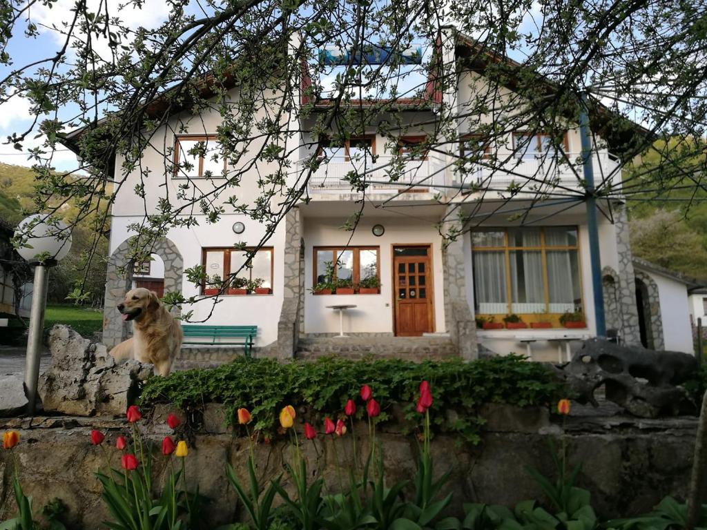 Самостоятелни стаи в къща за гости Балкан — photo 1