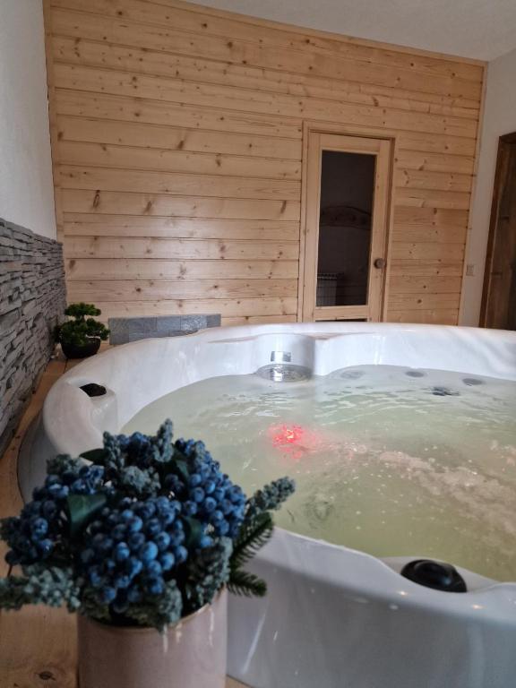 Rodopi Guest House photo 3
