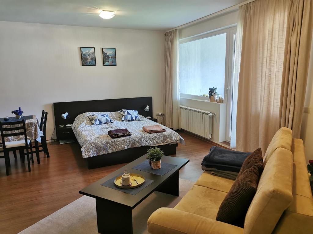Sunny studio apartment - few steps from Gondola — photo 1