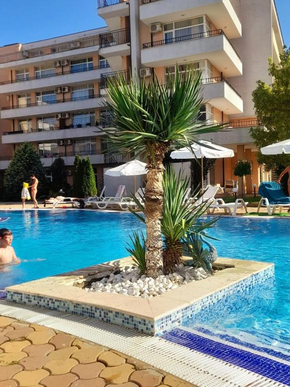 Top Studio in Big Kamelia Holiday Complex Sunny Beach — photo 1