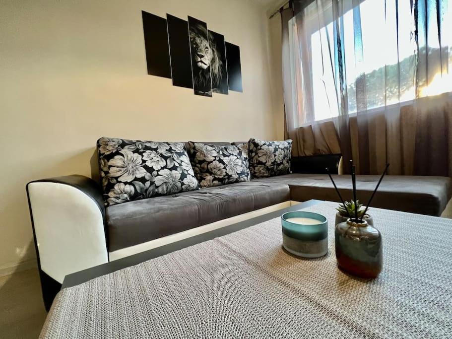 Sof apartment’s — photo 1