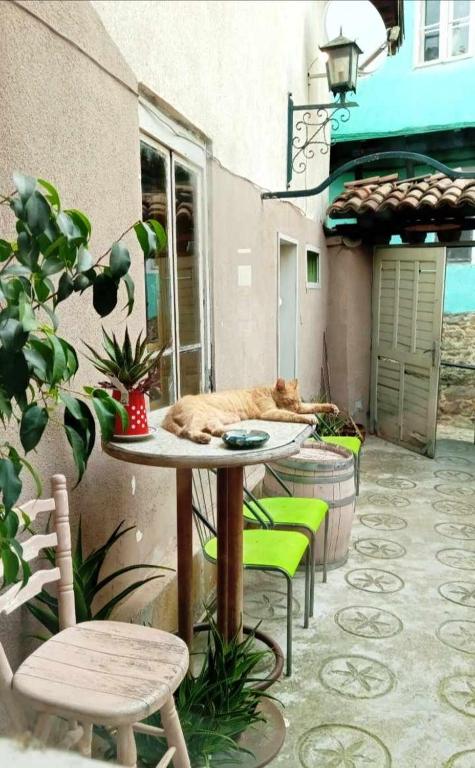 Rooster Hostel photo 3