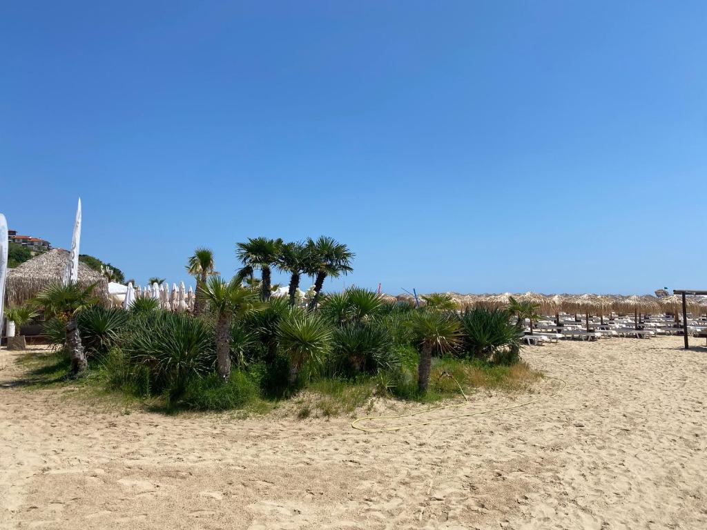 TONI HOUSE 407 Apartment Sveti Vlas Beach photo 2
