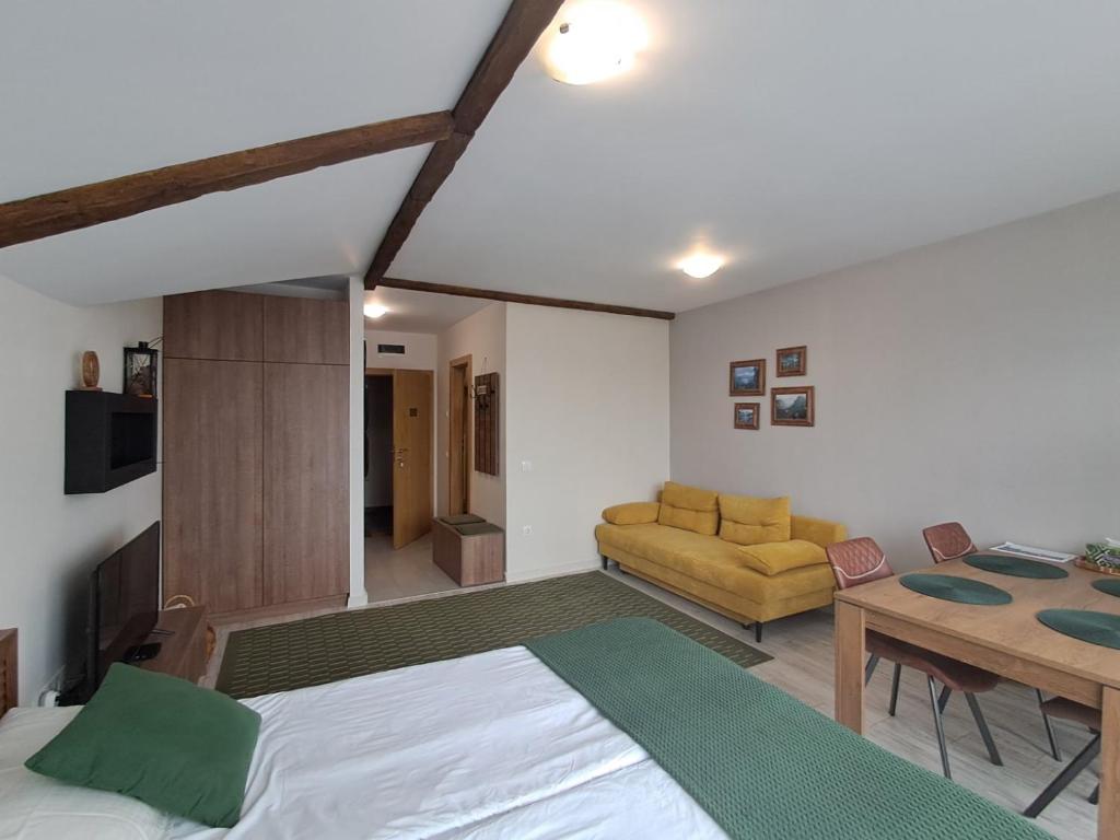 Large studio with view in Borovets Gardens photo 2