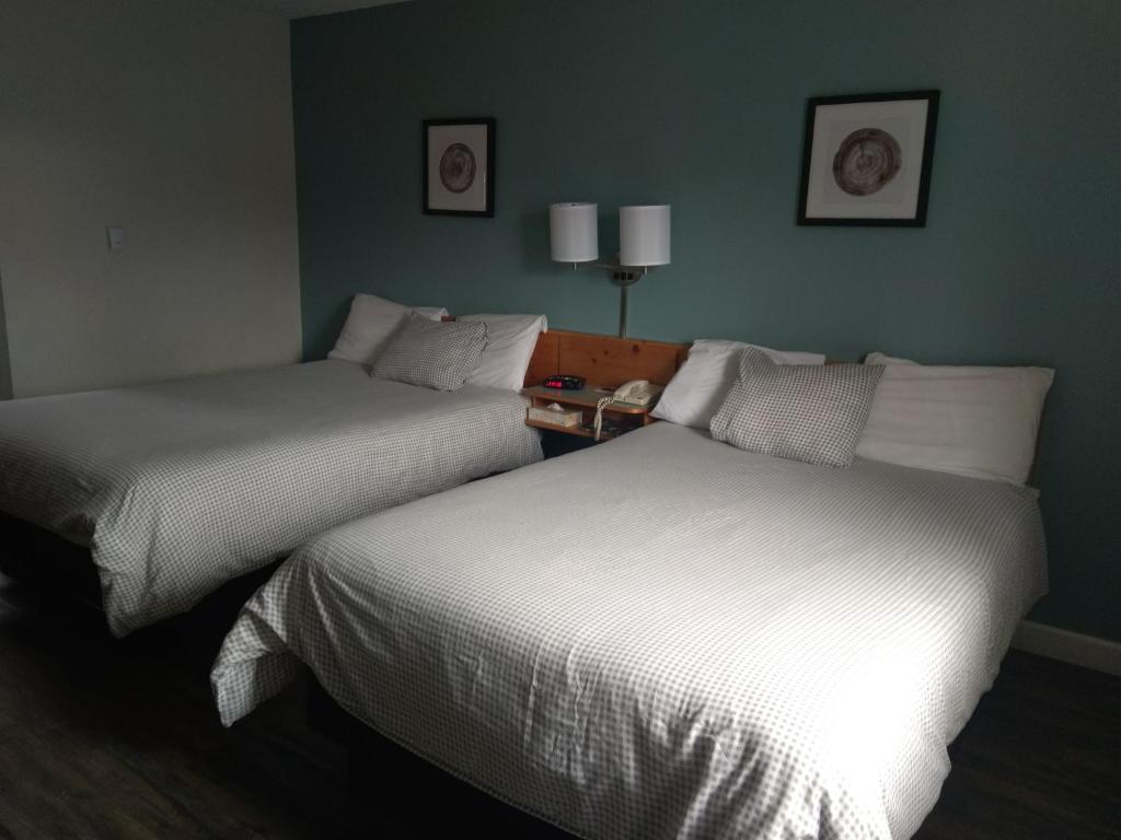Fireweed Motel photo 2