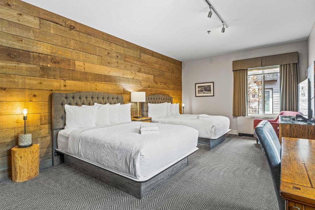 Basecamp Lodge Canmore photo 2