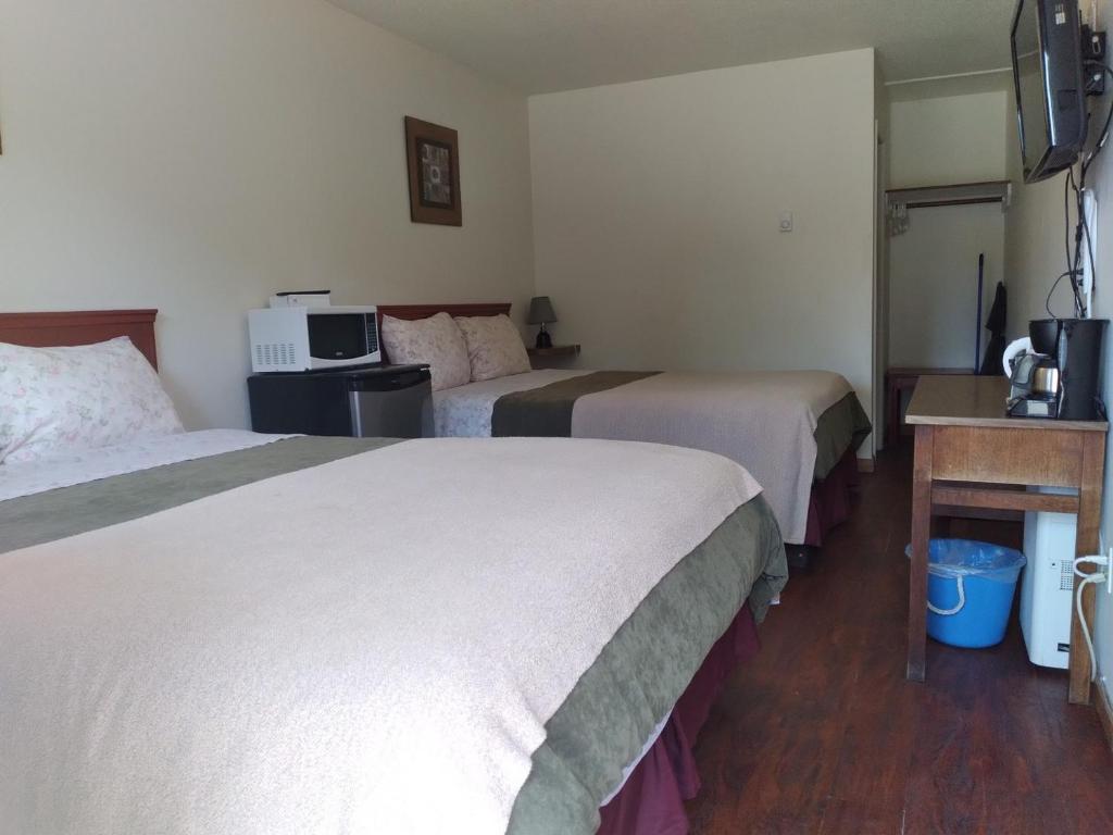 Dolphin Motel photo 2