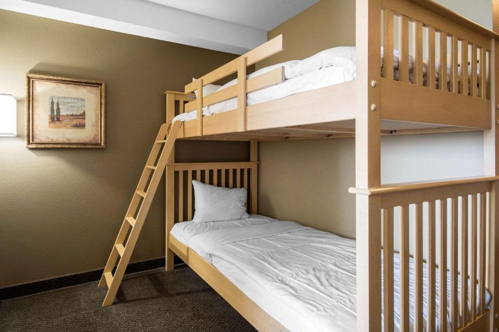 Comfort Inn & Suites photo 2