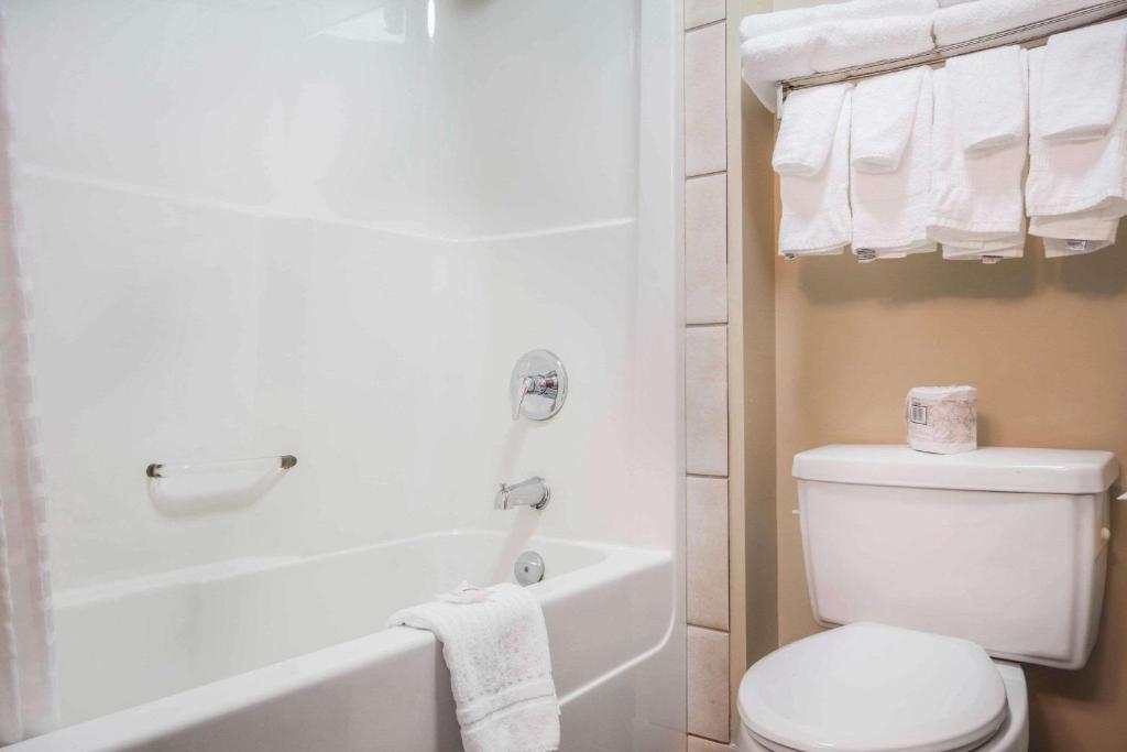 Comfort Inn & Suites photo 3