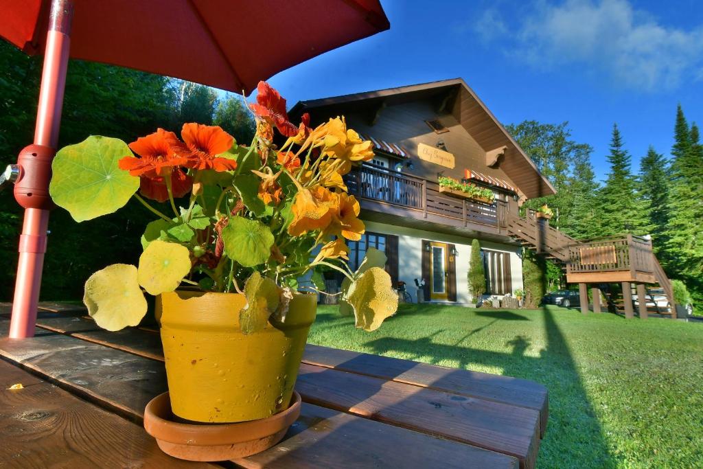 Chez Les Bergeron photo 3