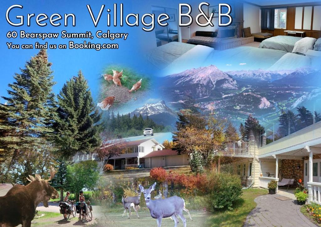 Green Village — photo 1