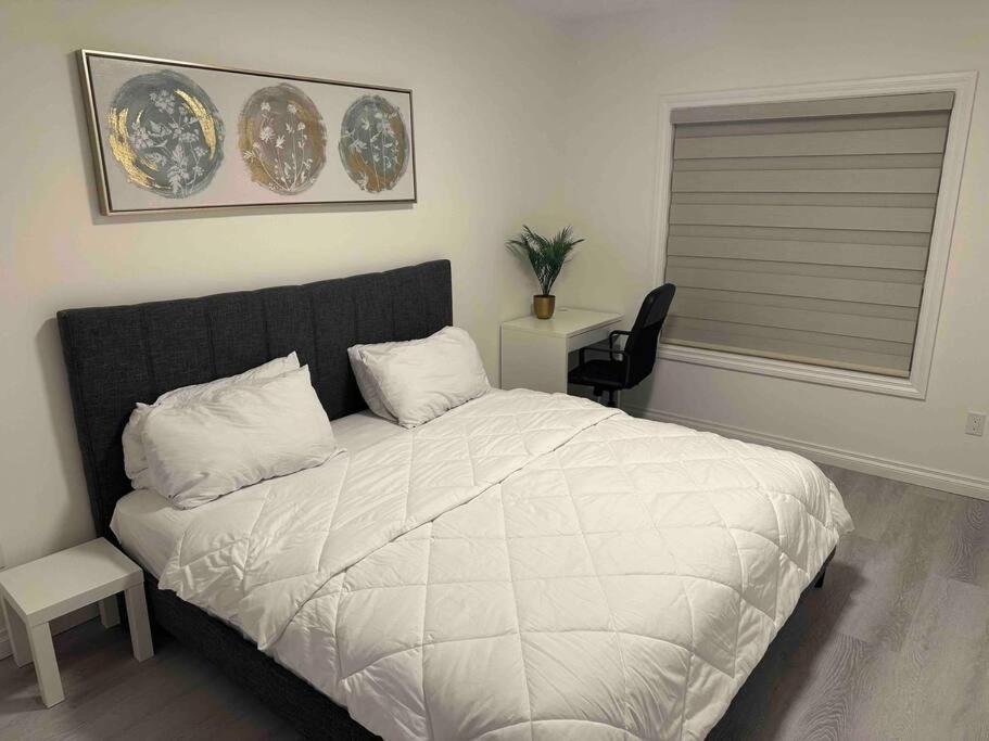 Award winning boho paradise sunlit modern suite photo 2