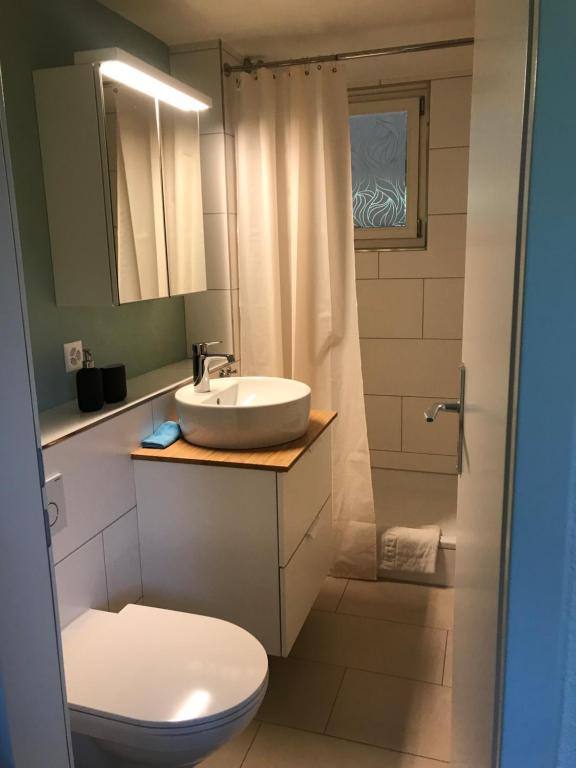Studio beim Rhein - Ziegelhütte photo 2