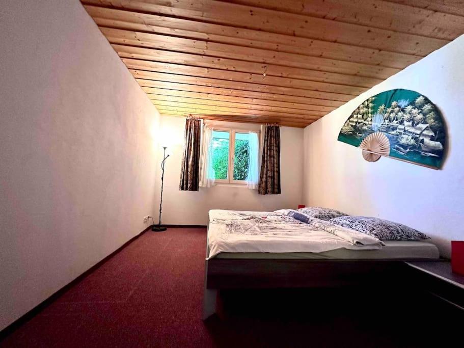 Eco-friendly guest house near ZH photo 2