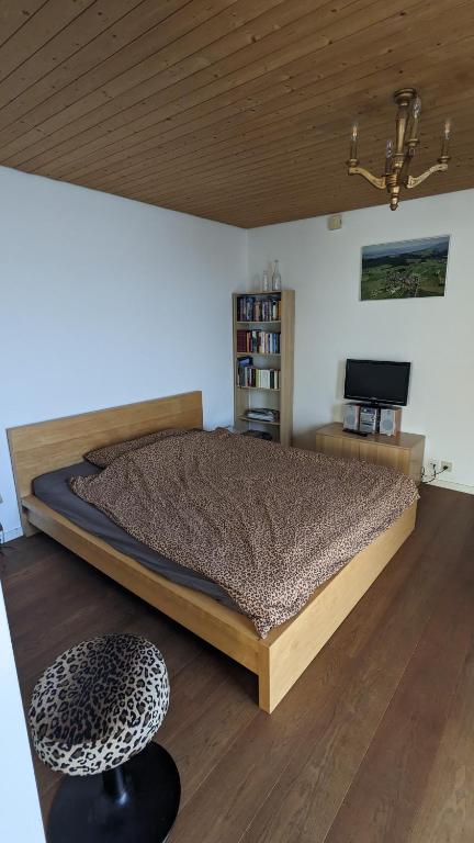 Lovely 2-bed Suite photo 2