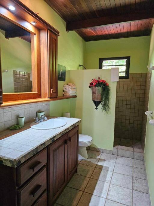 2 bedroom beachside villa photo 3