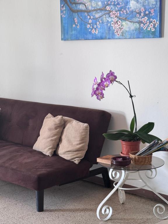 Tico Experience in a Family-Friendly Neighborhood