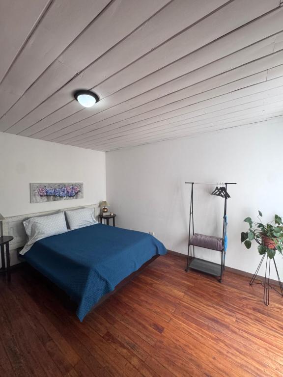 Tico Experience in a Family-Friendly Neighborhood photo 2