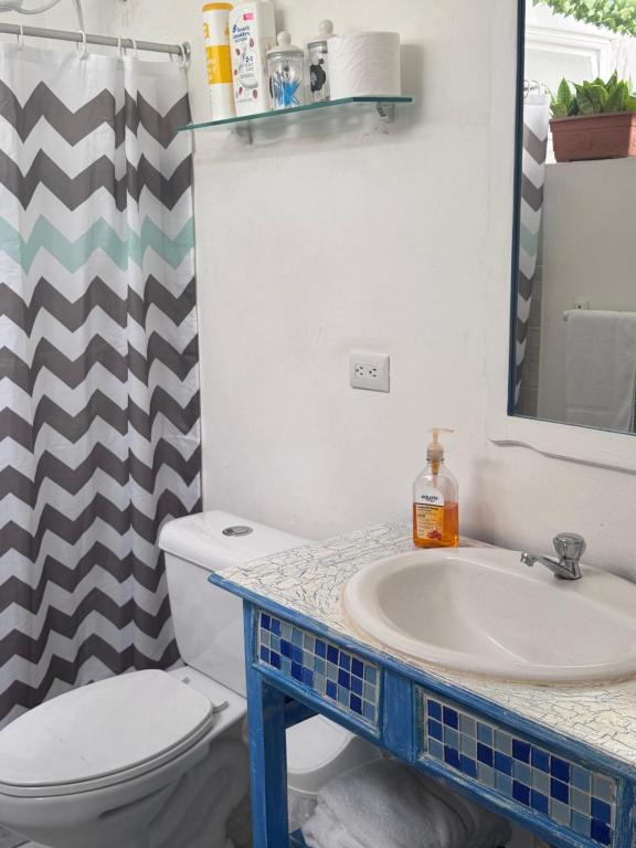 Tico Experience in a Family-Friendly Neighborhood photo 3