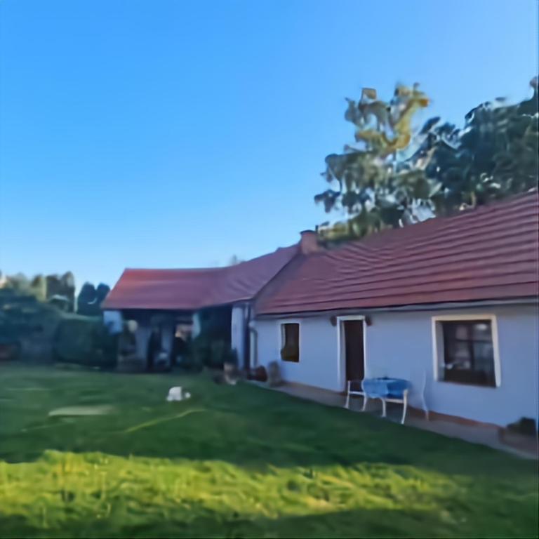 Stateček plný zvířátek — photo 1