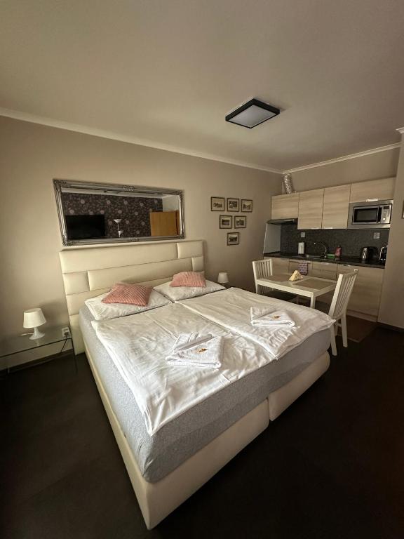 Harrachov Resident Apartments "Terrace & Chill" - high speed WiFi photo 2