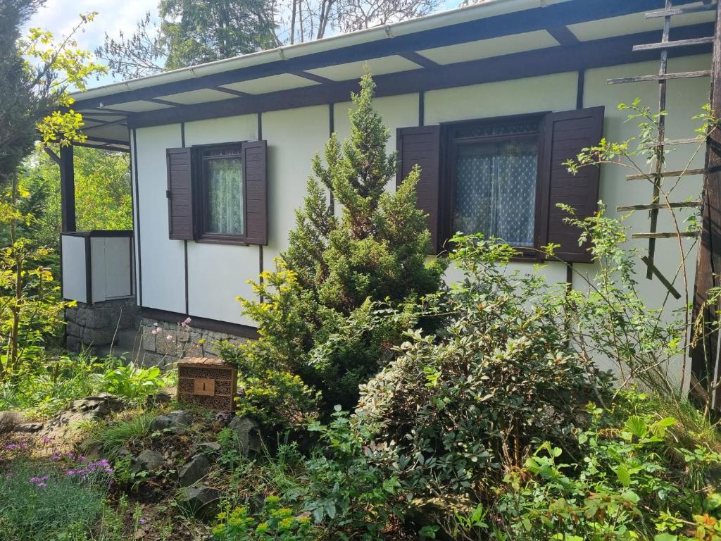 Chata Na Třešňovce — photo 1