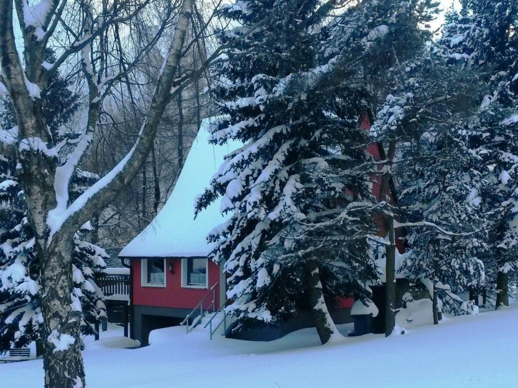 House in Bohemian near Ski Slope photo 3