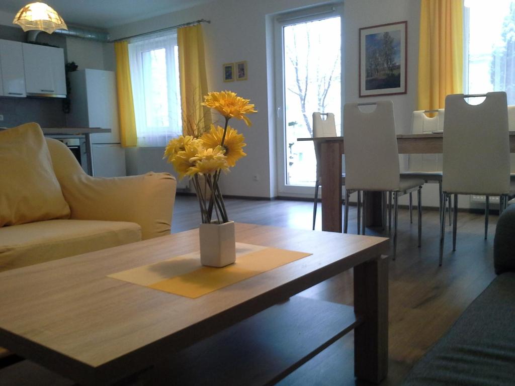 Rodinný apartmán Lucie v blízkosti Wellness hotelu ve Frymburku — photo 1