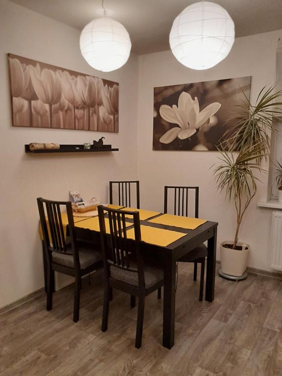Apartment Riegerovka — photo 1