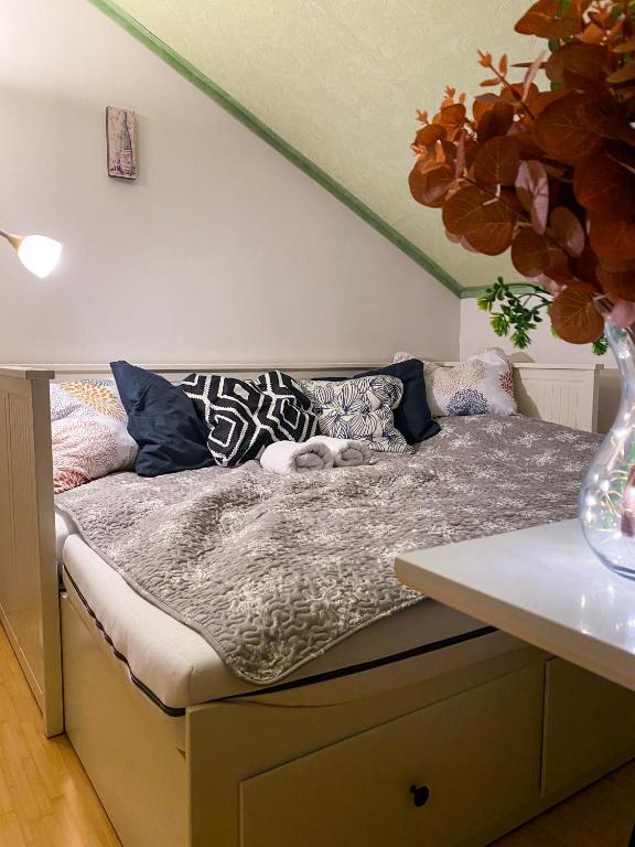 Pension 311 Vrchlabí photo 2