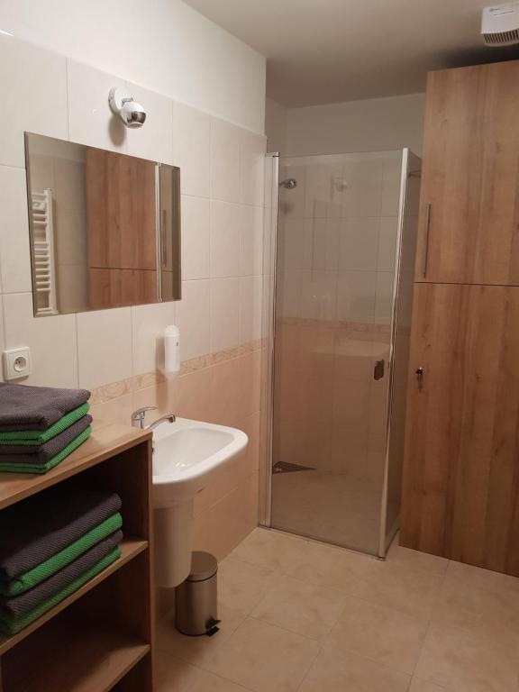 Sport Apartment photo 3