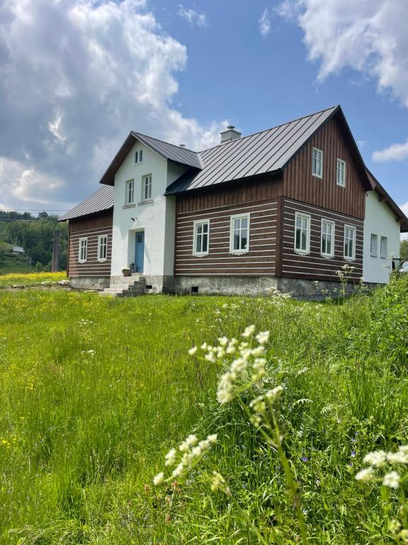 Wintrovka photo 2