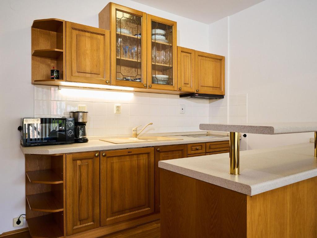 Studio Rosie-Dolní náměstí by Interhome photo 3