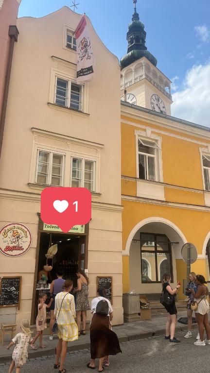 ZMRZLINOVÝ DOMEČEK (Ice cream housei) photo 2