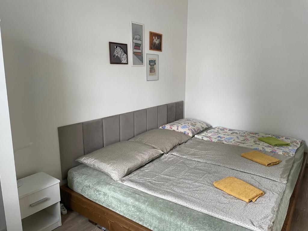 Rodinný apartmán Mariánská photo 2