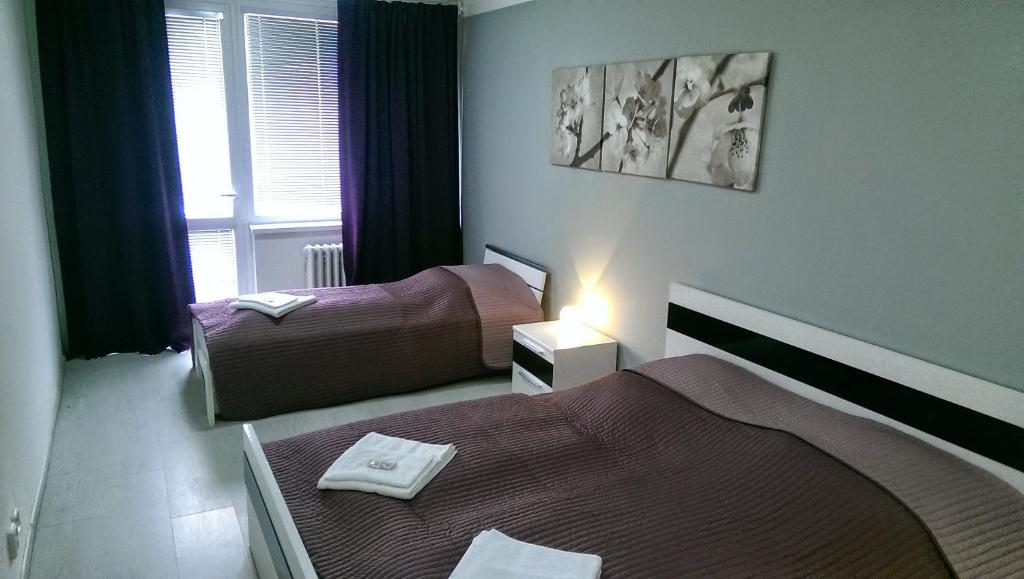 Hotel Terek photo 2