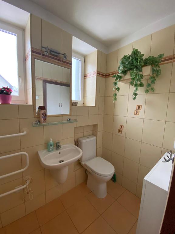 Rodinný apartmán 3+1 (65 m² ) v plném vybavení se nachází v krásné vesničce Horní Město na úpatí hor v oblasti Jeseníků photo 3