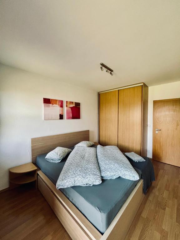 Ski Apartmán Salomon photo 2